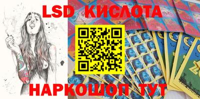 мдпв Кингисепп
