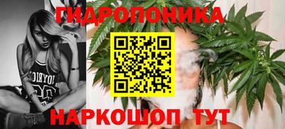 мдпв Кингисепп