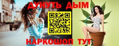мдпв Кингисепп