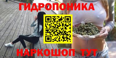 мдпв Кингисепп