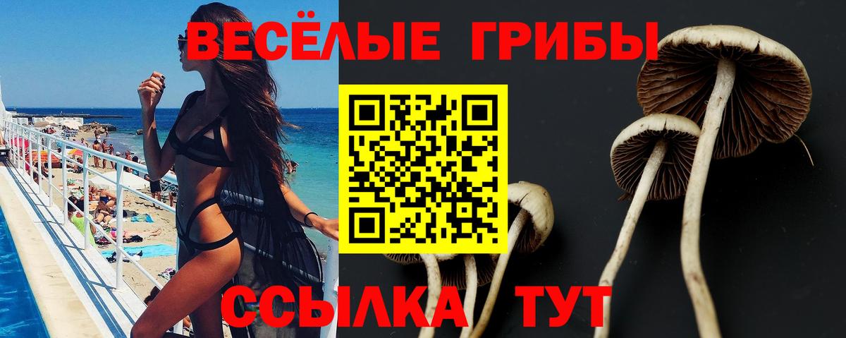 Урай  продажа наркотиков  Вход с VPN  Псилоцибиновые грибы Magic Shrooms 